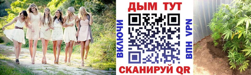 Купить  Курган  Бошки марихуана Bruce Banner 